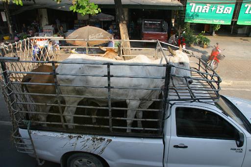 0315 Phitsanulok onderweg.JPG